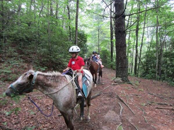 Fern Forest + Lonesome Pine